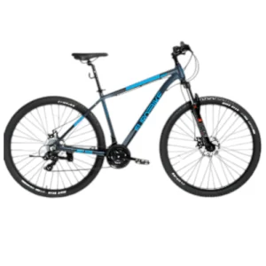 BICICLETA EUROBIKE R29